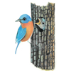 Eastern Bluebird