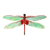 red saddlebags dragonfly
