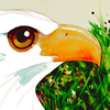 bald eagle, watercolor