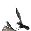 Crows