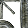 diatoms