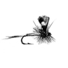 fly