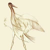 heron
