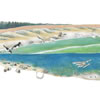 Intertidal Scene