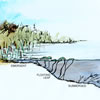 littoral