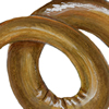 nematode