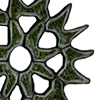 pediastrum