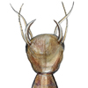 predacious diving beetle larva