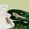 tadpoles, watercolor