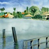 tampa bay