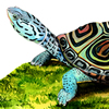 terrapin