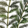 water milfoil