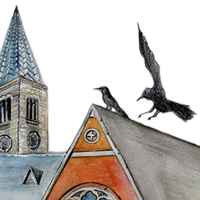 crows