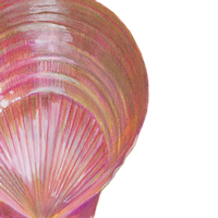 pink shell