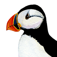 puffin, watercolor