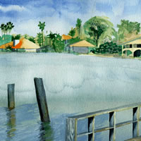 tampa bay