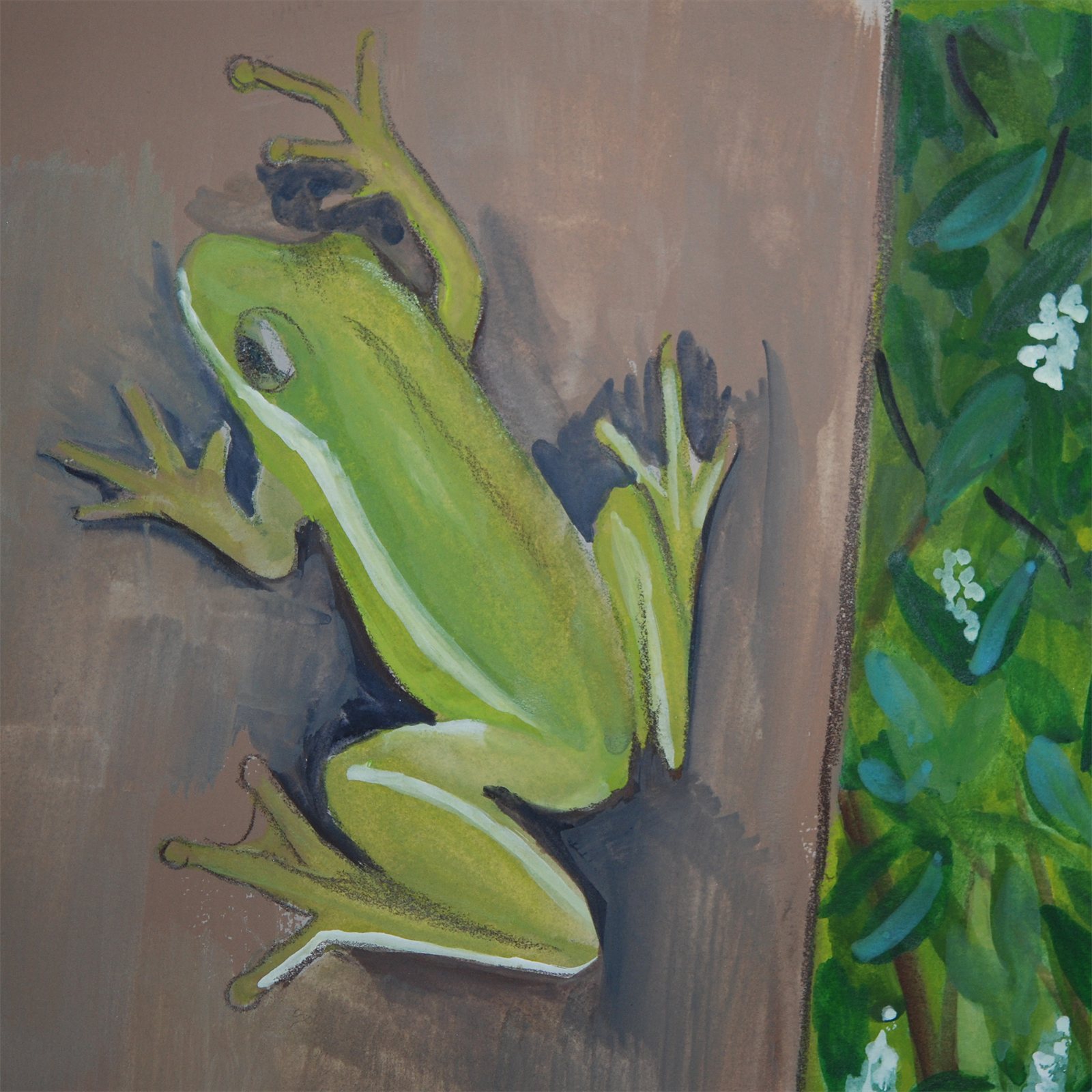 Artwork by Gina Mikel: American Green Tree Frog - Freshwater Mural, Hyla cinerea