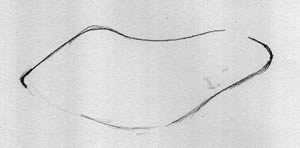 Frog Illustration How To: 1