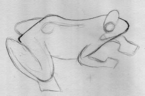 Frog Illustration How To: 2
