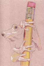 Spring Peeper