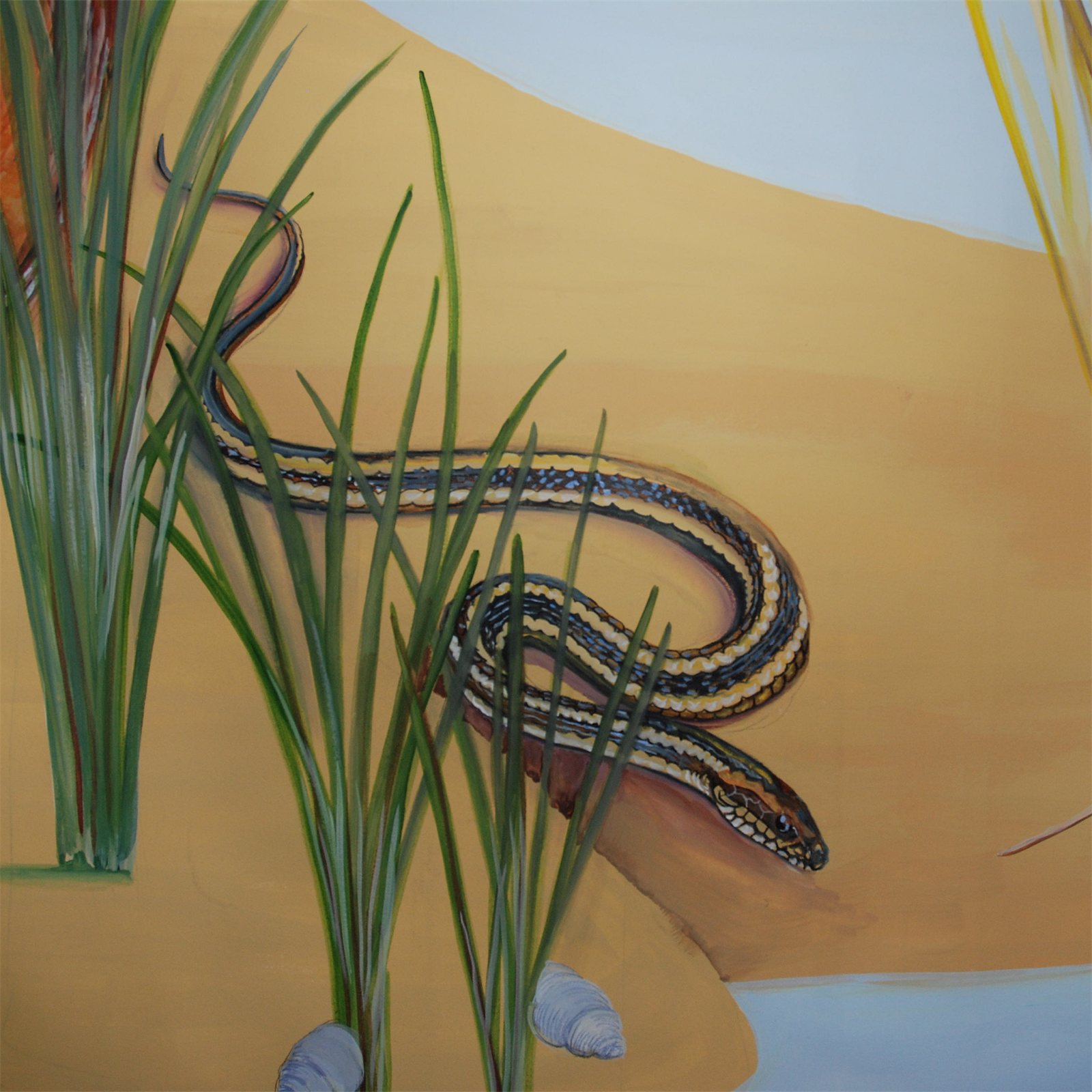 Artwork by Gina Mikel: Gulf Saltmarsh Snake - Saltwater Mural, Nerodia clarkii