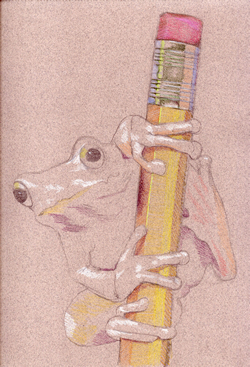 how to draw a frog