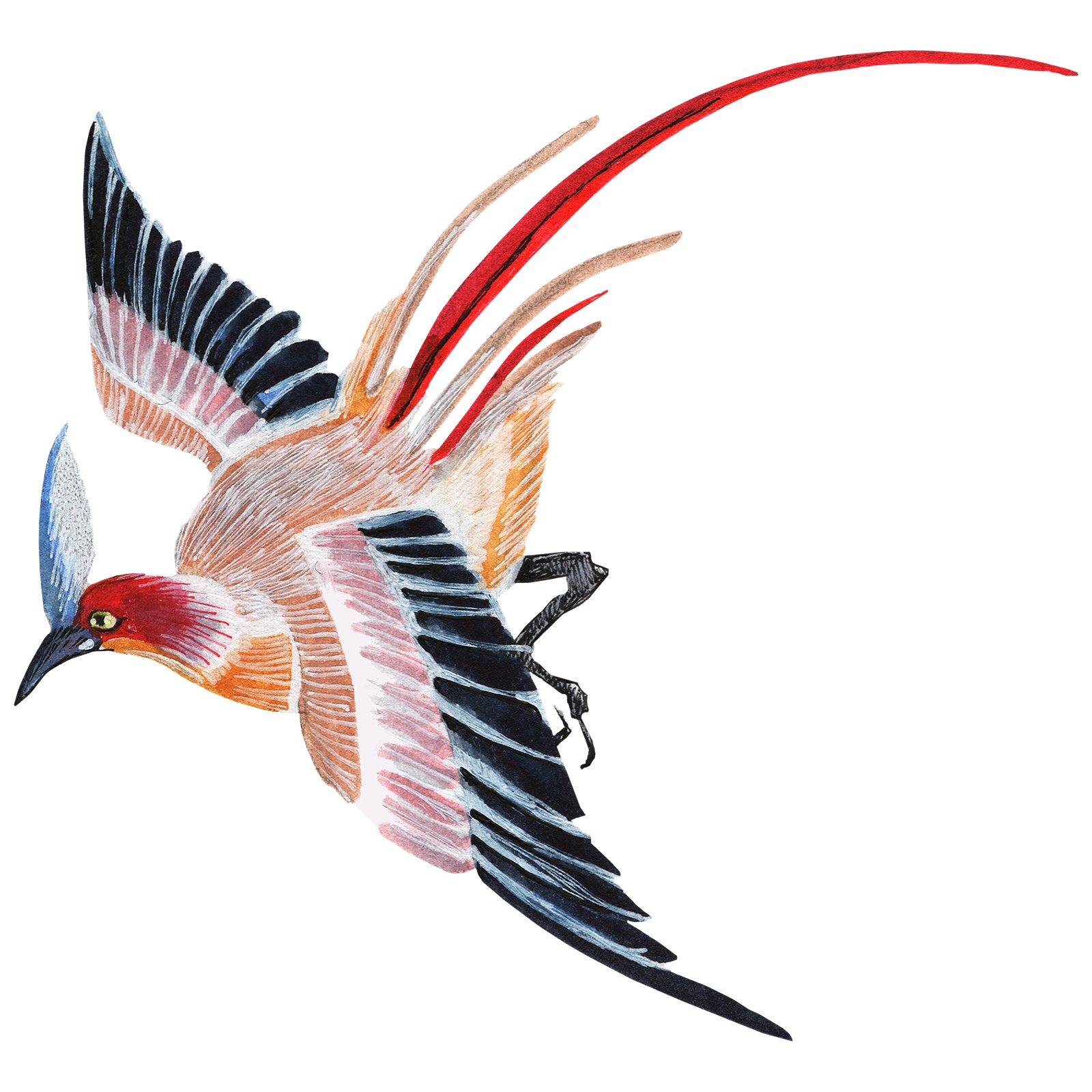 Artwork by Gina Mikel: Chinese Phoenix