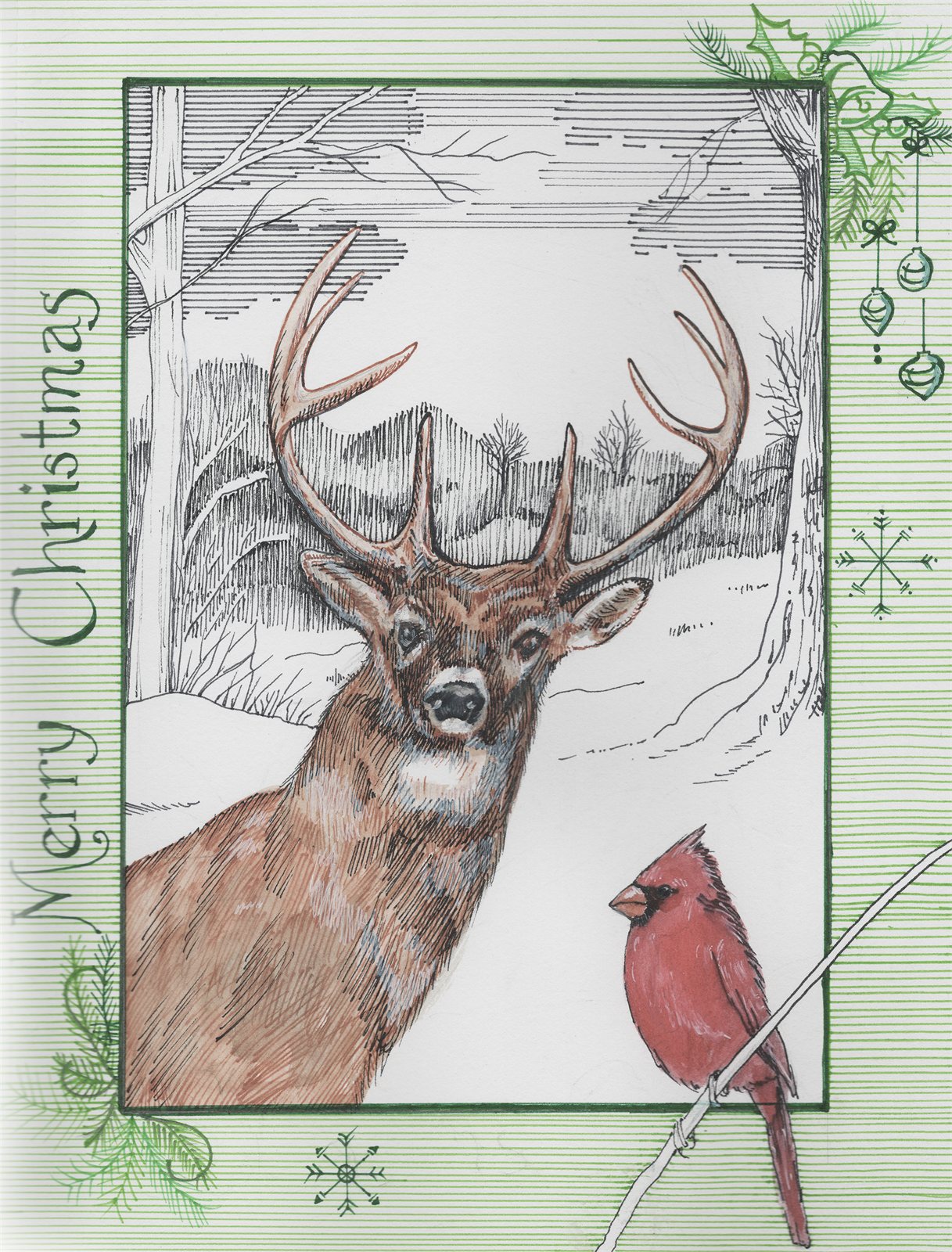 Artwork by Gina Mikel: Deer, Cardinal, Odocoileus virginianus; Cardinalis cardinalis