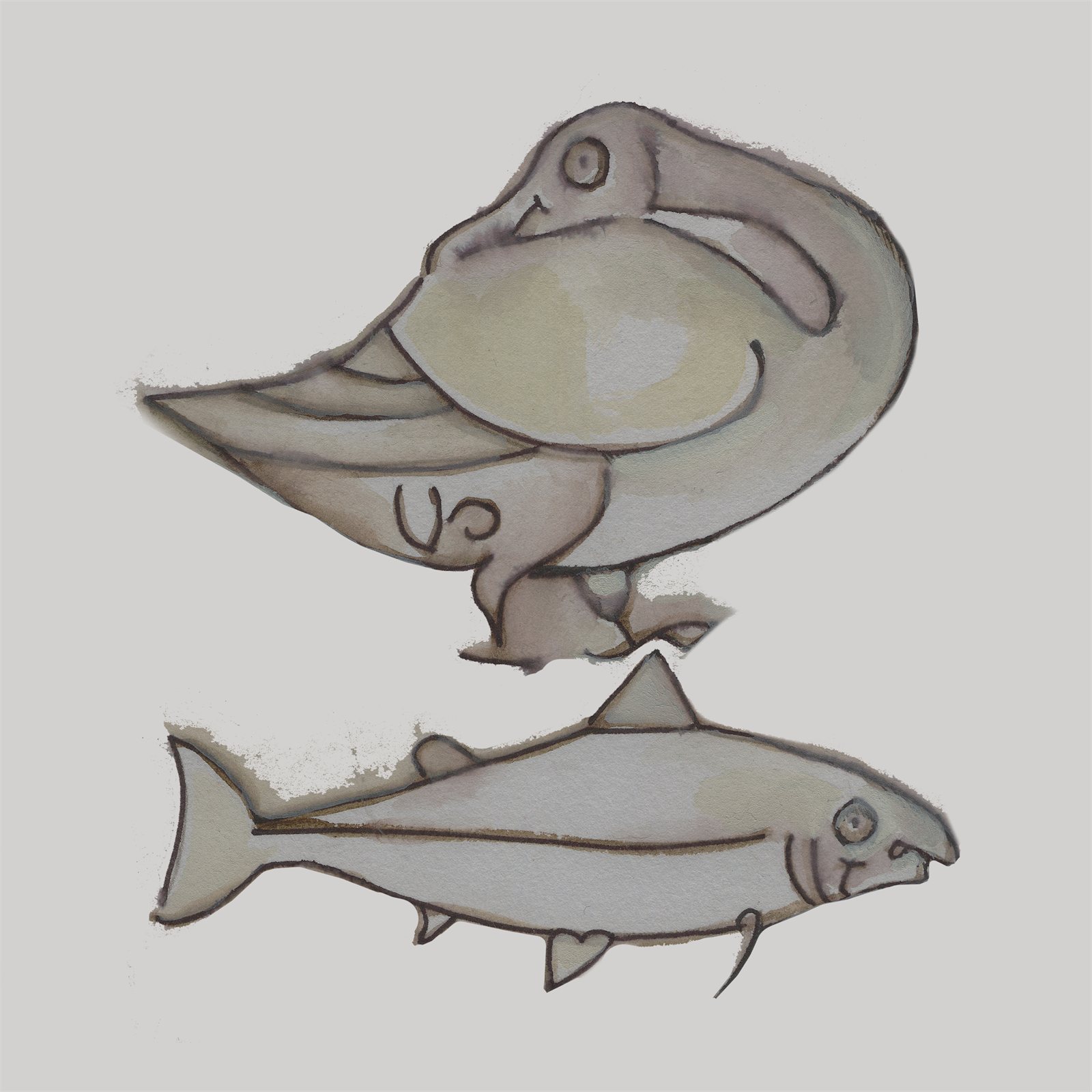 Artwork by Gina Mikel: Greylag Goose, Atlantic Salmon, Salmo salar; Anser anser
