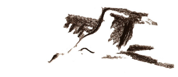 crane