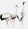 Sketch of Cranes