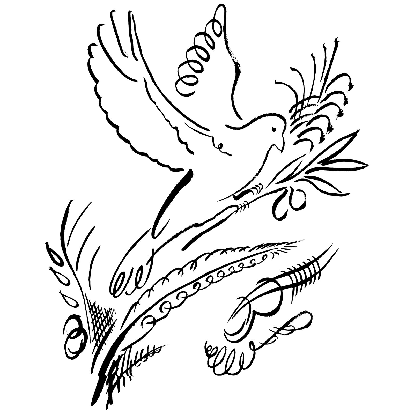 Artwork by Gina Mikel: Dove & Olive Branch, Columba livia; Olea europaea