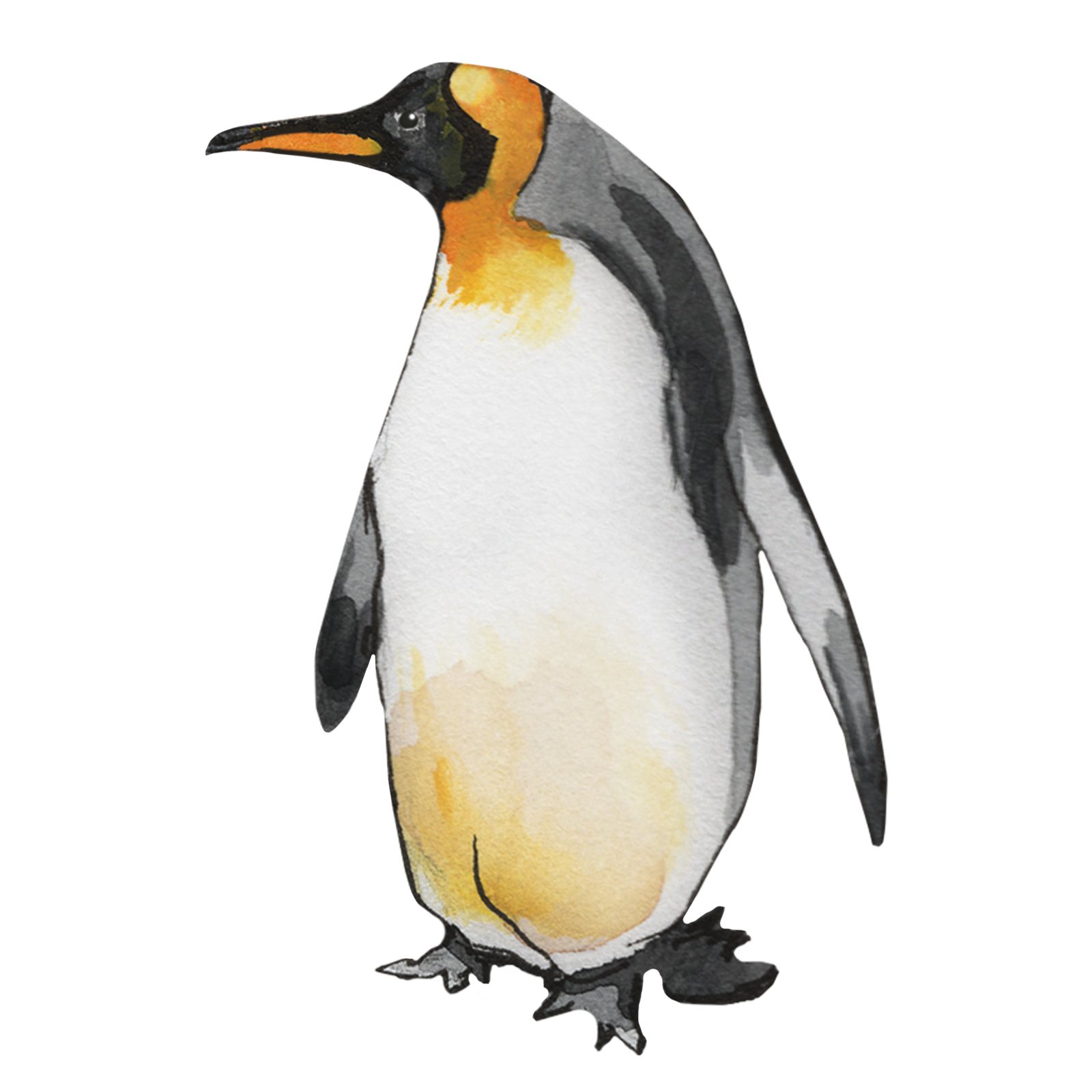 Artwork by Gina Mikel: King Penguin, Aptenodytes patagonicus