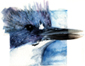 belted kingfisher, watercolor