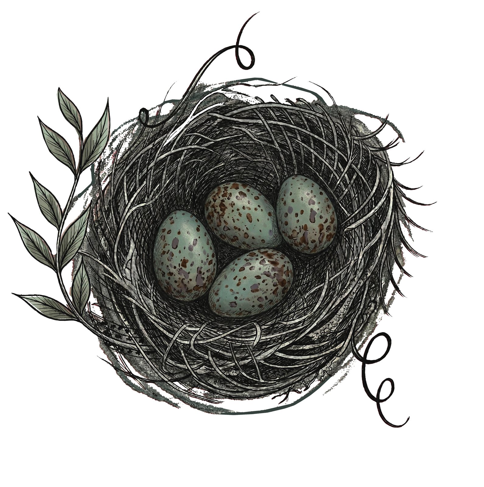 Artwork by Gina Mikel: Nest with Eggs