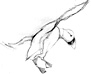 puffins flying