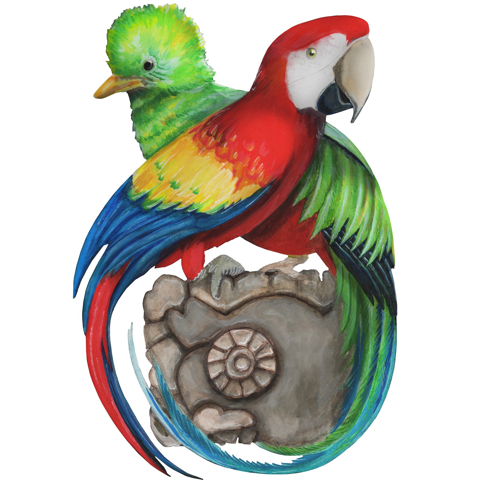 Artwork by Gina Mikel: Scarlet Macaw & Resplendent Quetzal, Ara macao; Pharomachrus mocinno