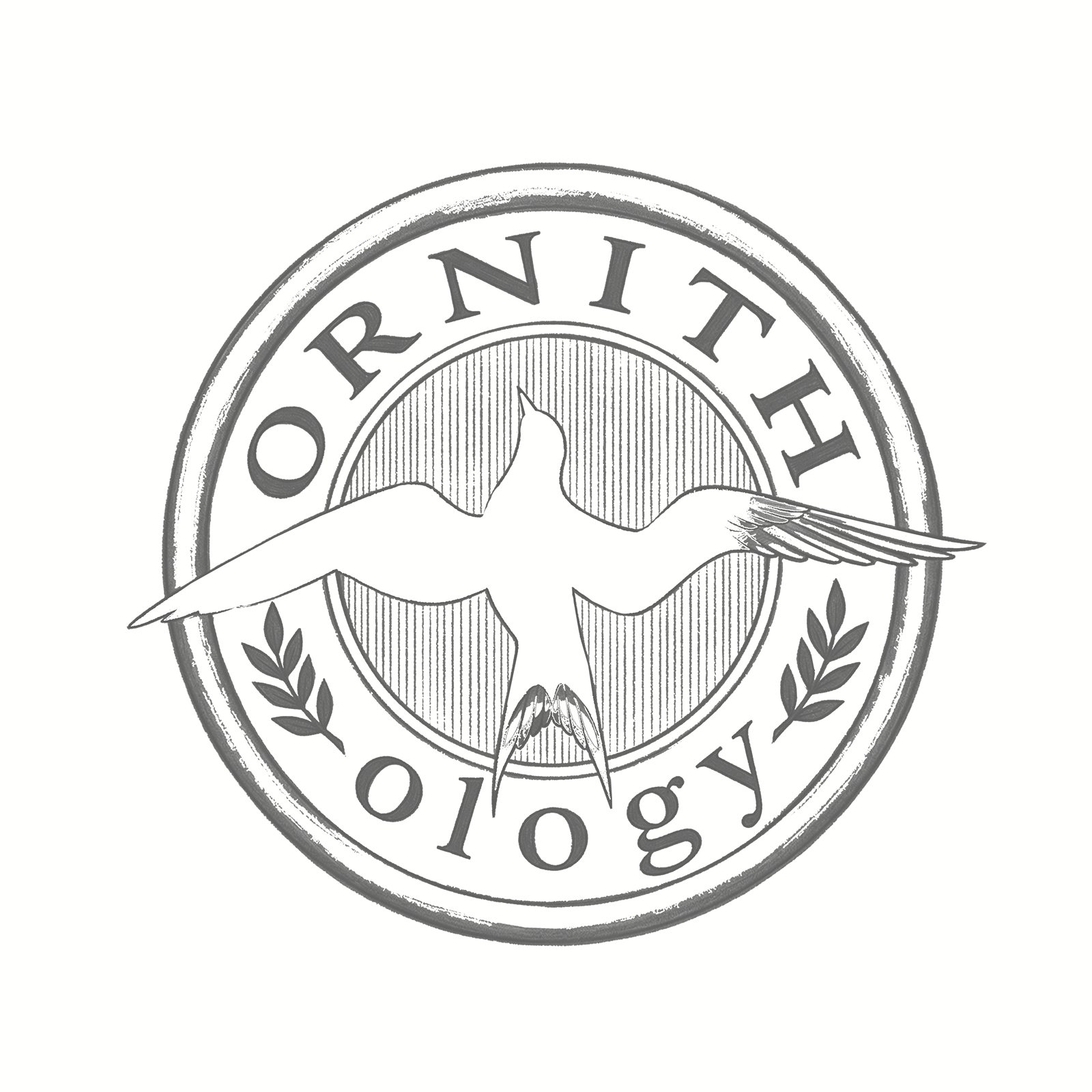 Artwork by Gina Mikel: Tern - Ornithology Badge, Sterninae