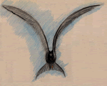 Tern Flying
