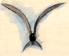 Tern in Flight
