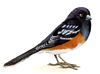 towhee