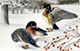 wood ducks