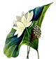american lotus