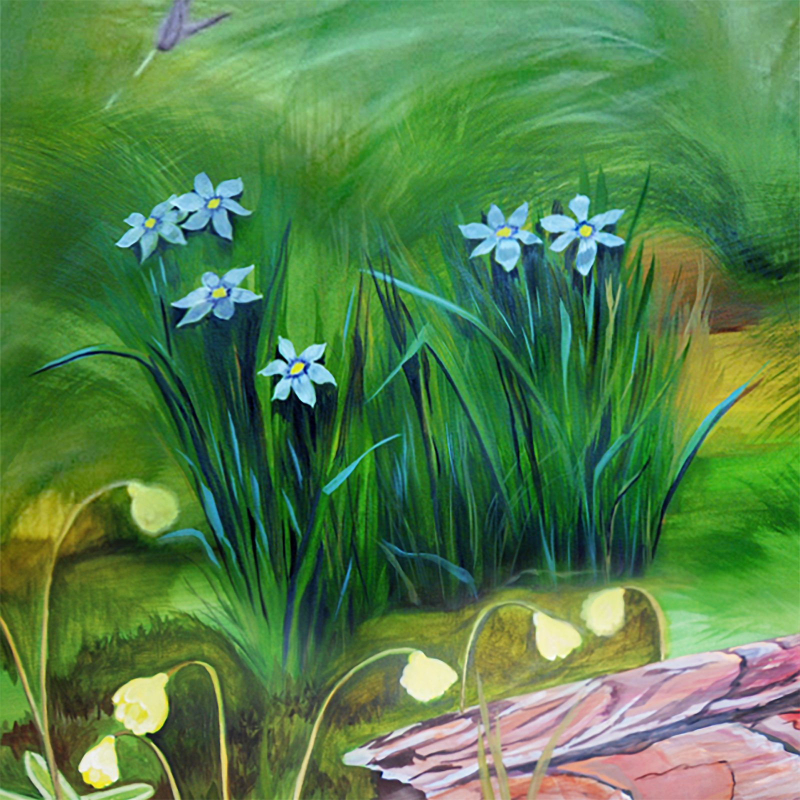 Artwork by Gina Mikel: Blue-eyed Grass - Freshwater Mural, Sisyrinchium angustifolium