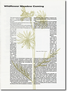 Client Newsletter