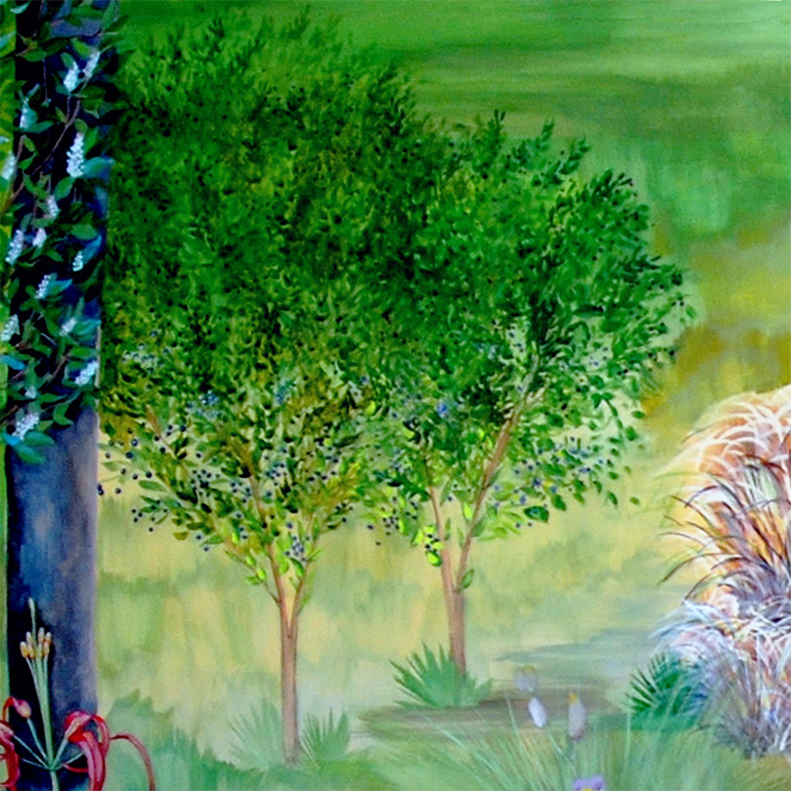 Artwork by Gina Mikel: Gallberry - Freshwater Mural, Ilex glabra