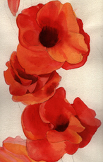 gladiolas