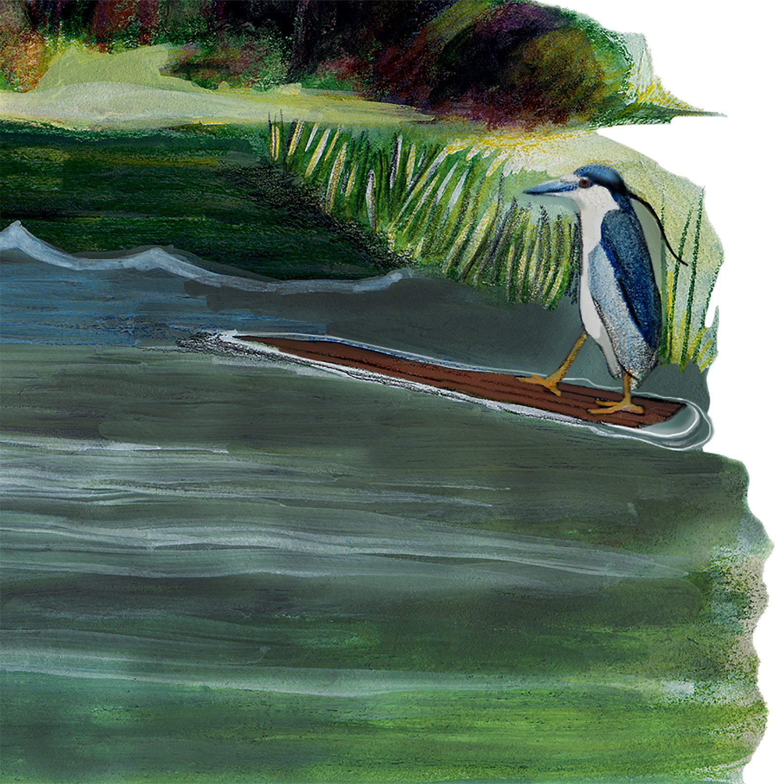 Artwork by Gina Mikel: Phragmites - Brooklyn Pond, Phragmites australis