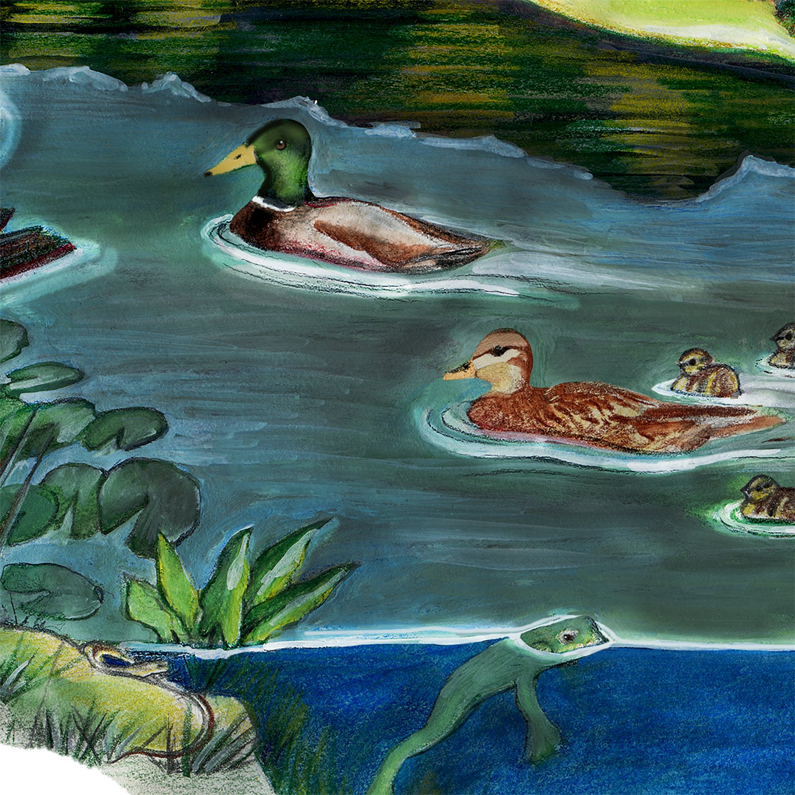 Artwork by Gina Mikel: Pickerelweed - Brooklyn Pond, Pontederia cordata