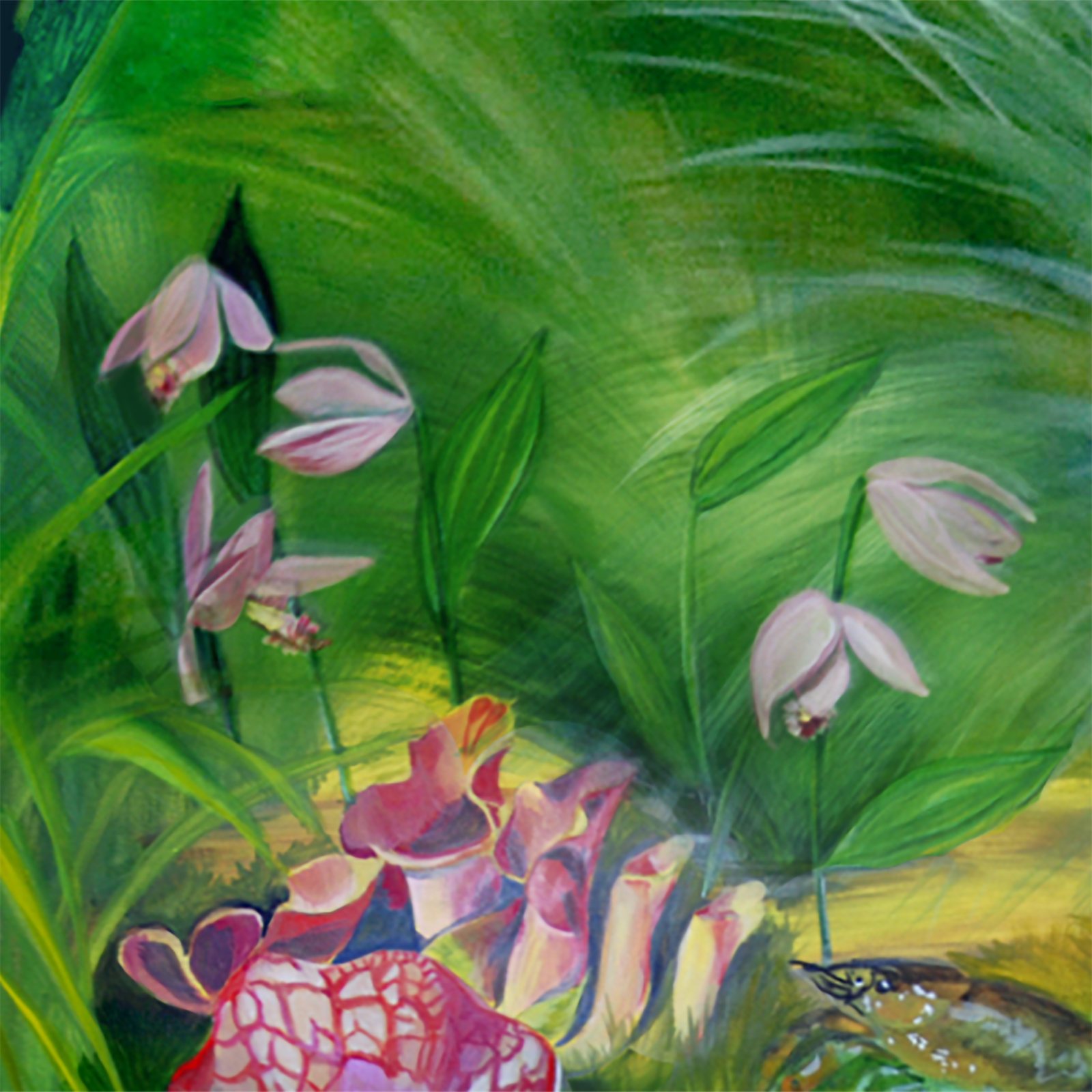 Artwork by Gina Mikel: Rose Pogonia Orchid - Freshwater Mural, Pogonia ophioglossoides